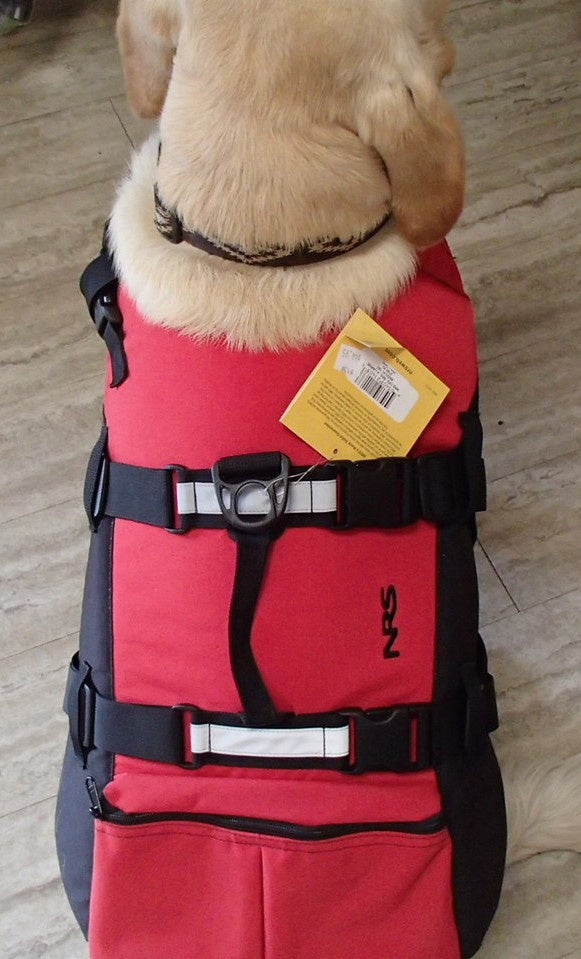 Canine Flotation Device
