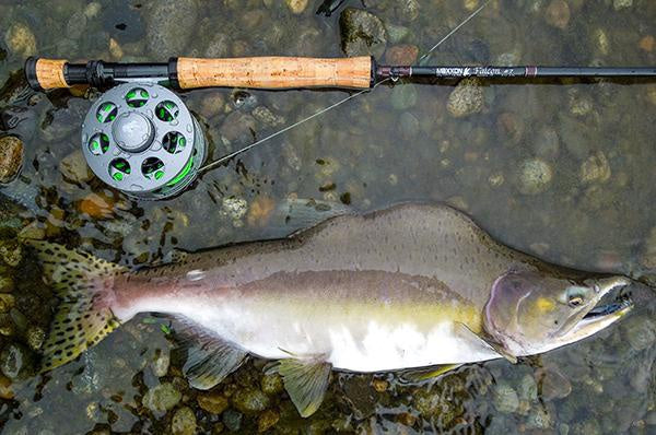 Falcon Fly Rod