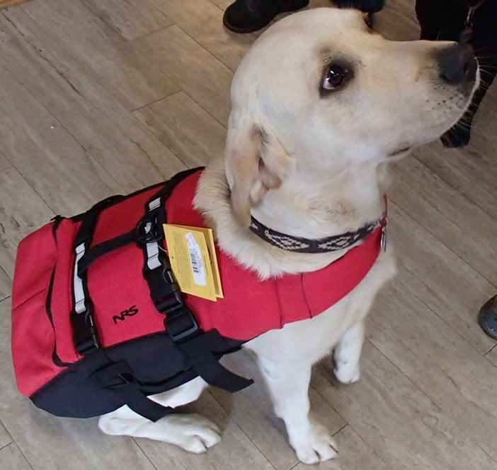 Canine Flotation Device