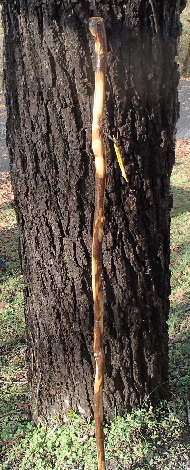 Wood Walking Stick w/ Strap